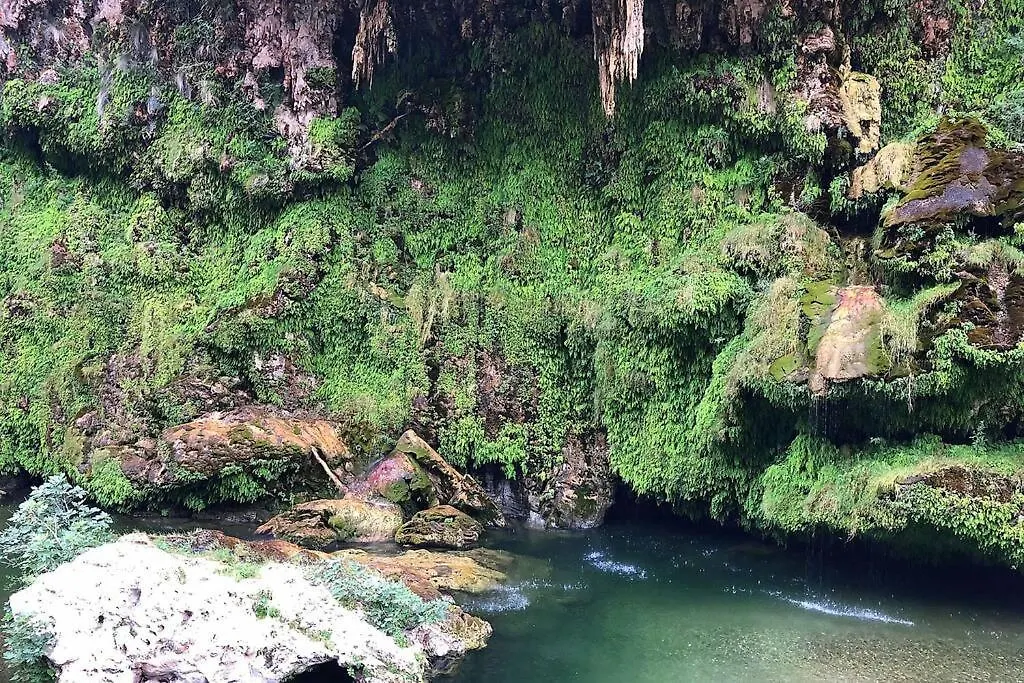 Ferula Romantica Mansarda Tra Fiumi E Montagne Sardegna Seulo