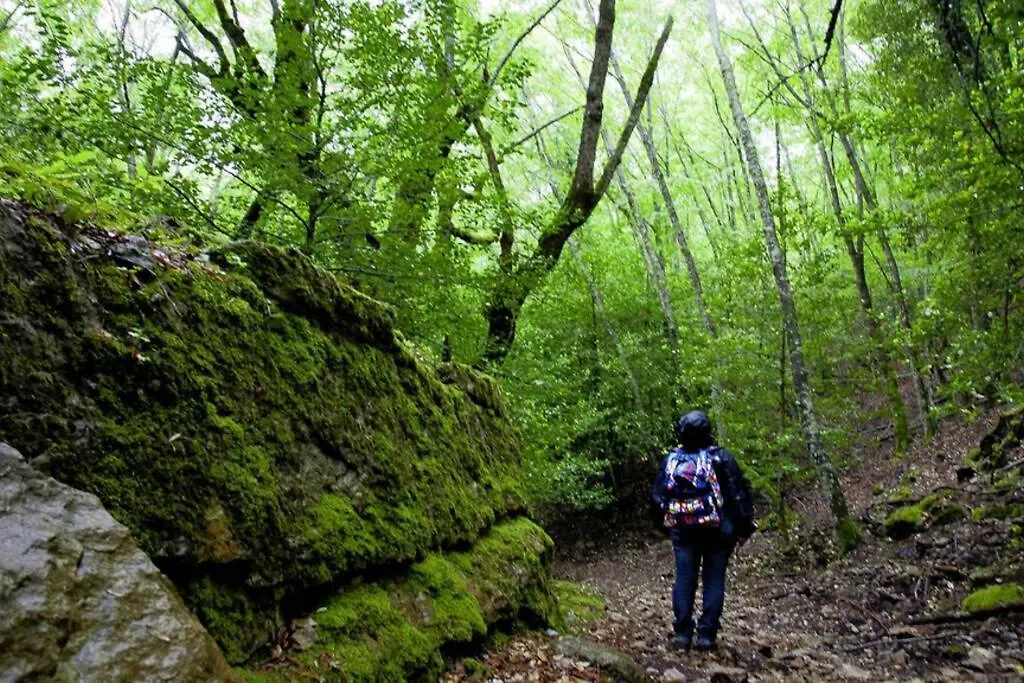 Ferula Romantica Mansarda Tra Fiumi E Montagne Sardegna Seulo Italy