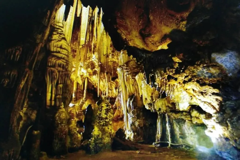 Ferula Romantica Mansarda Tra Fiumi E Montagne Sardegna Seulo