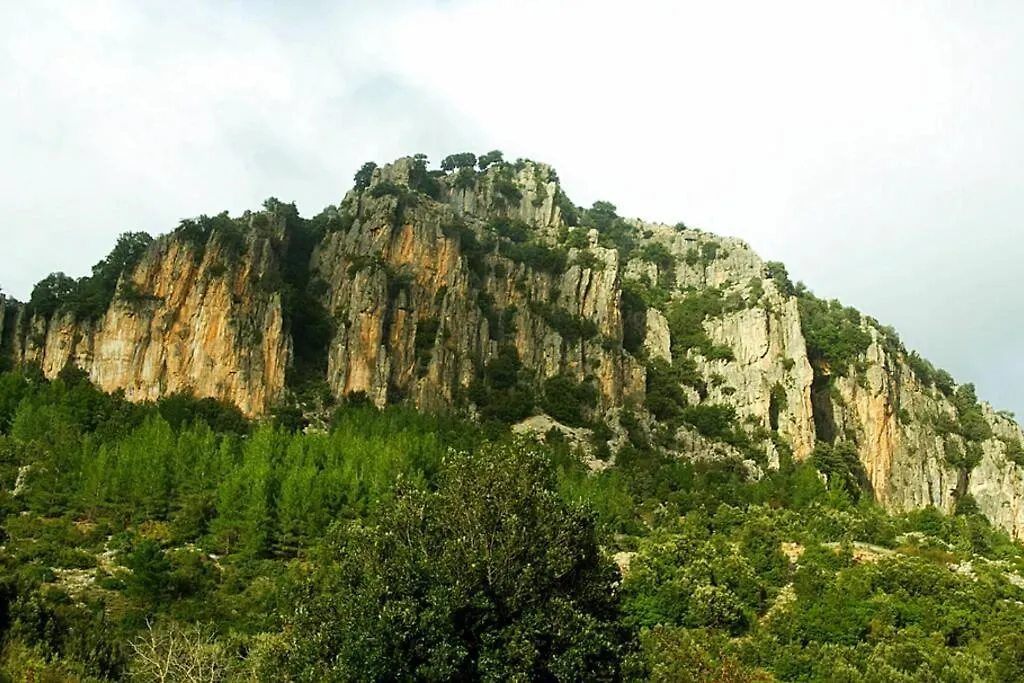Ferula Romantica Mansarda Tra Fiumi E Montagne Sardegna Seulo 0*,